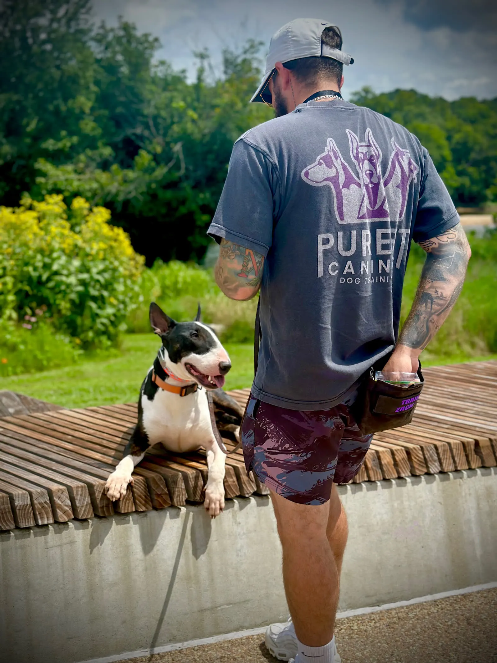 Zach training a bull terrier at the Purest Canines facility